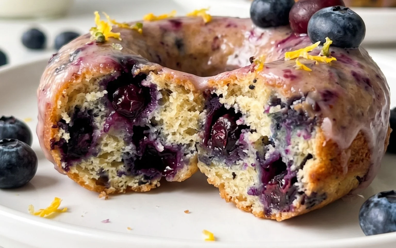 Wild Blueberry Cake Donuts