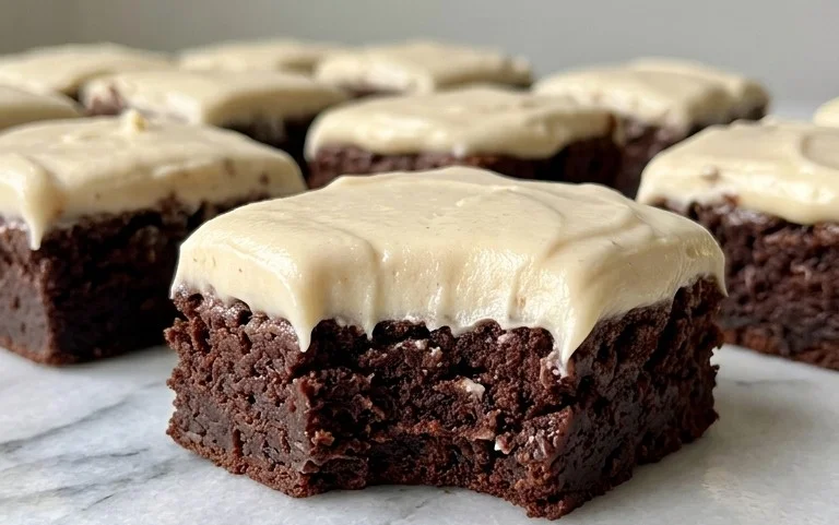 Zucchini Brownies with 1 minute Frosting!